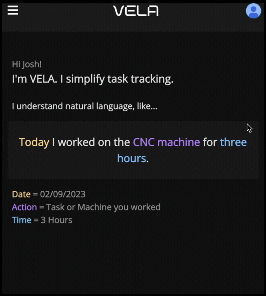 VELA voice logbook interface demonstration